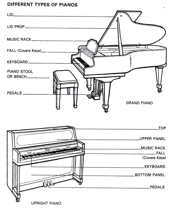 Baby Grand Piano Parts Diagram